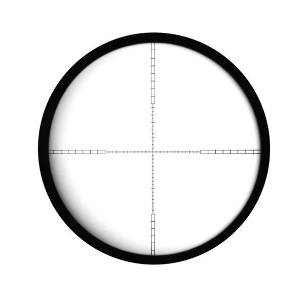 Final High and Low Magnification Visual Inspection