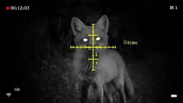 Night Vision imaging