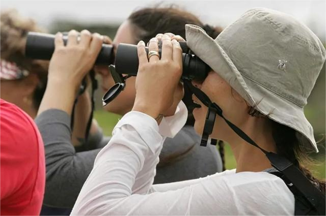 How to Hold Binoculars