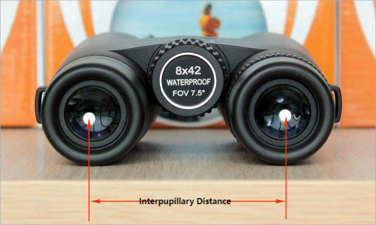 Interpupillary Distance