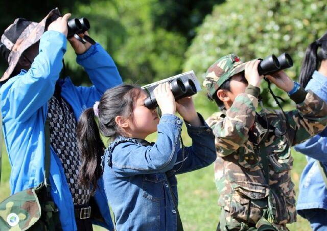 Binoculars for Birdwatching